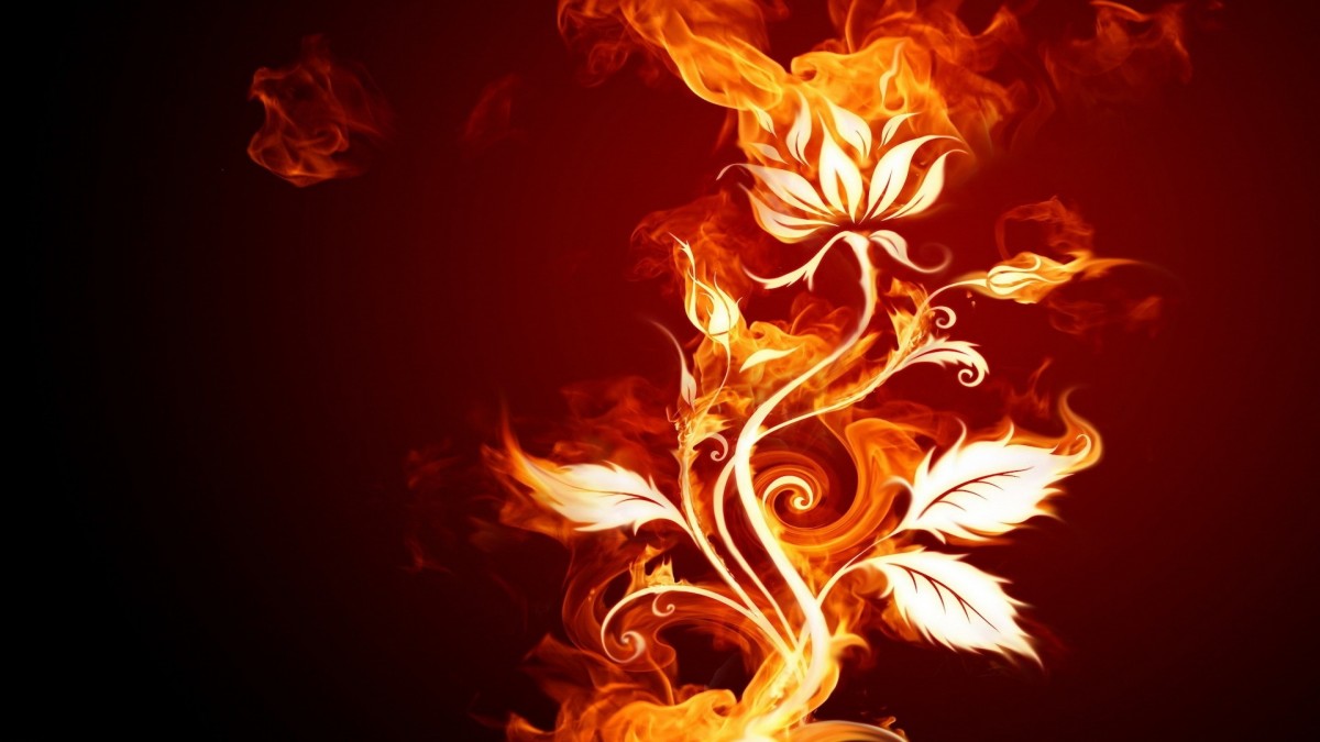 گل-آتش-نارنجی-طرح گرافیکی-نور و آتش
